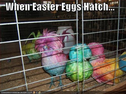 funny easter jokes. happy easter funny jokes. ziwi