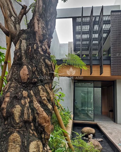 Tukang Taman Tangerang - Jasa Taman Rumah Berkualitas Terbaik Tukang Taman Tangerang - Jasa Taman Rumah Berkualitas TerbaikTukang Taman Tangerang - Jasa Taman Rumah Berkualitas Terbaik
