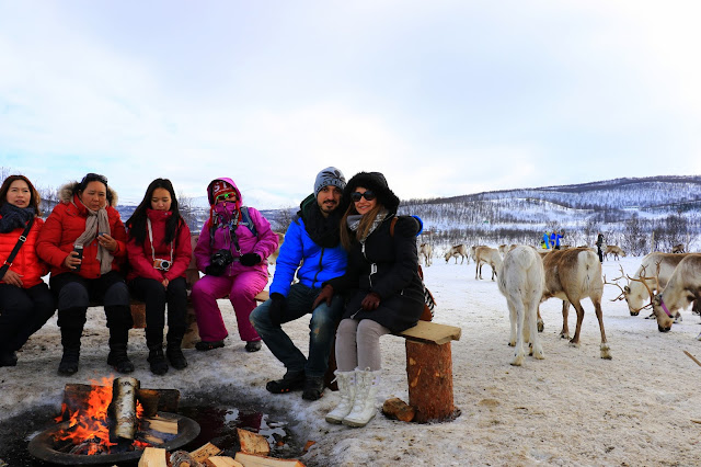 Tromso Arctic Reindeer Experience