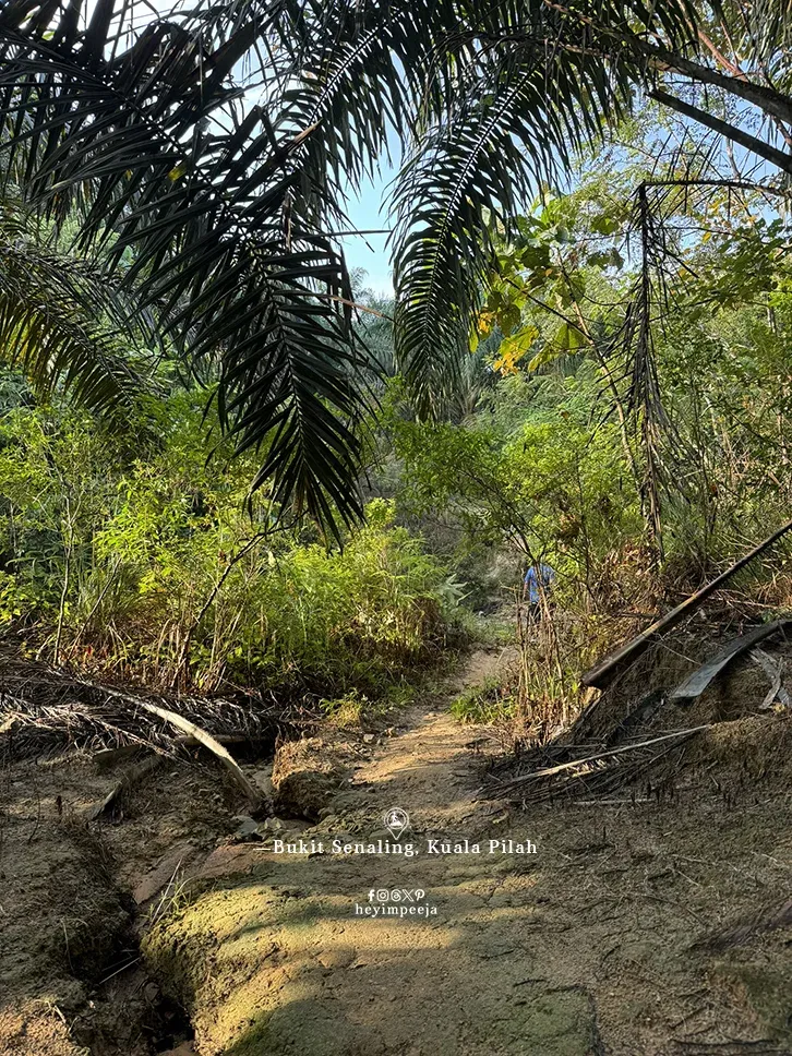 Hiking Bukit Senaling Kuala Pilah