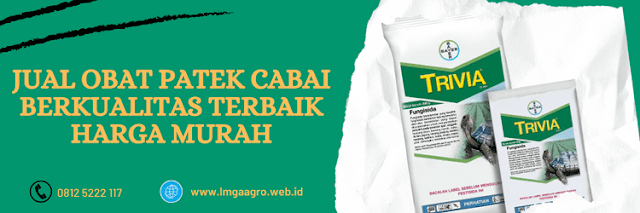 jual,murah,terjangkau,toko pertanian terdekat,lmga agro