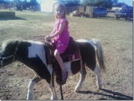 pumpkin patch 5