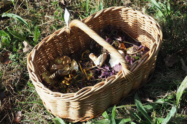 orne, weekend champignons bagnoles de l'orne, kuuroord bagnoles de l'orne, normandië