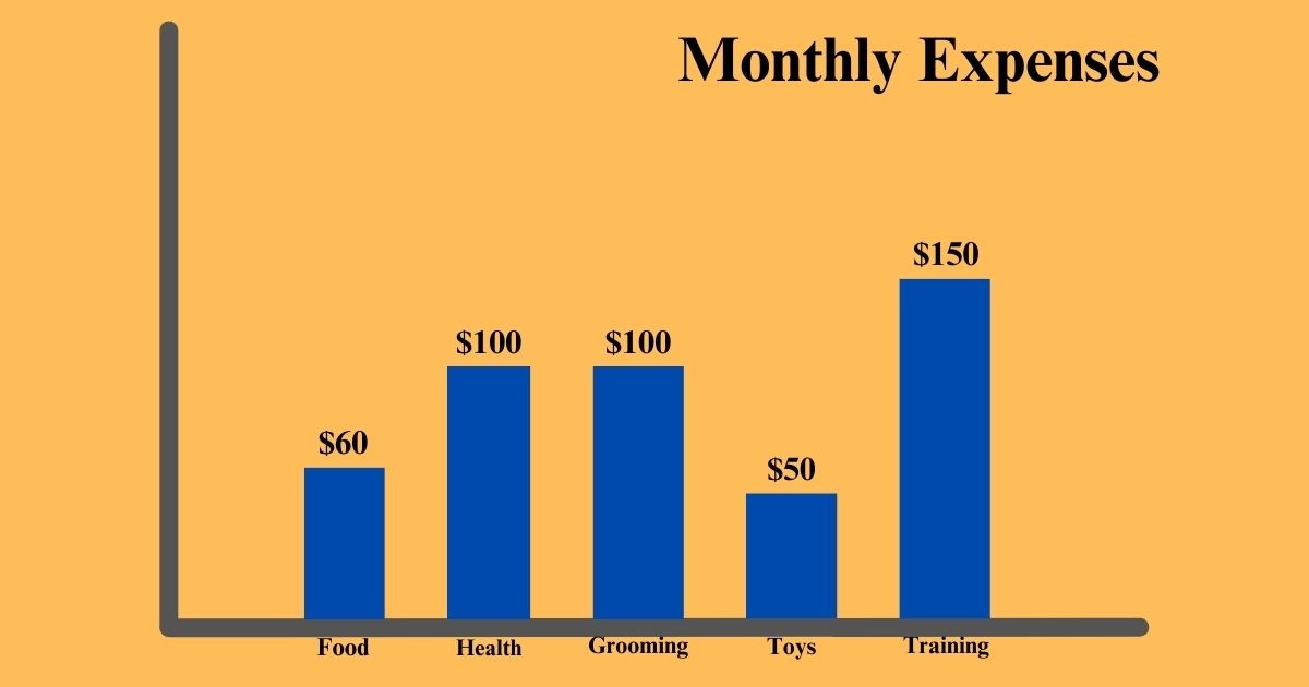 Monthly Expenses Of German Shepherd Golden Retriever