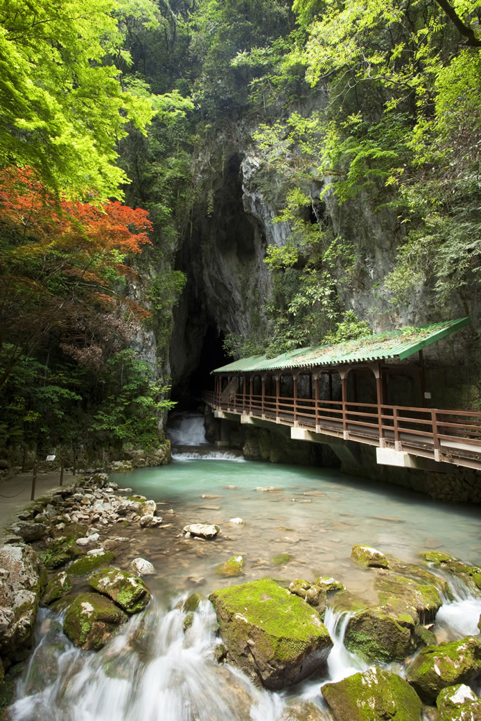 ถ้ำอากิโยชิโด (Akiyoshido Cave: 秋芳洞)