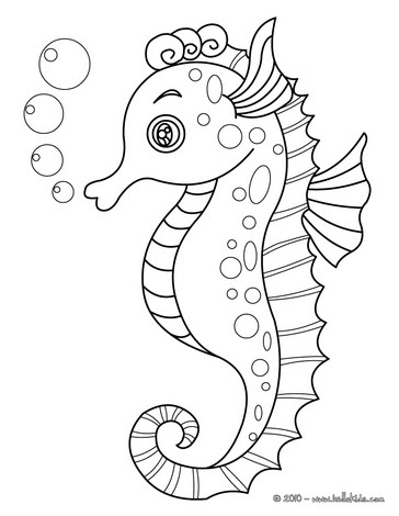 Seahorse coloring page