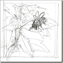 anthid bg