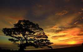 Senja Di pantai Pok Tunggal Yogyakarta