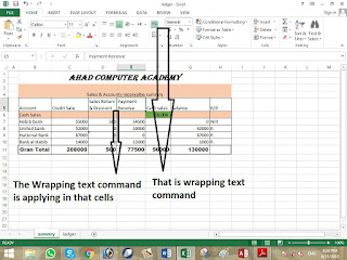 Wrapping Text in MS Excel
