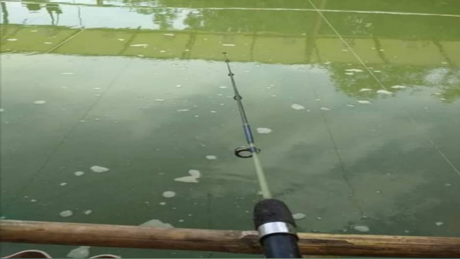 baru pertama kali memancingnya dengan air hijau sudah pasti belum menemui umpan yang pas untuk digunakan
