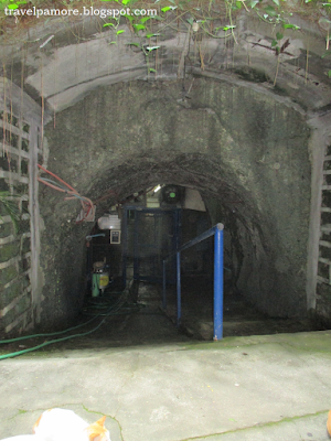 Tunnels and Mushrooms at Rizal Technological University