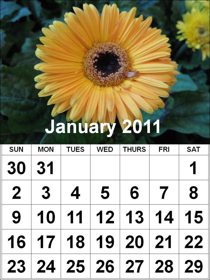 Printable January 2011 Calendar with big fonts and flowers pictures