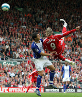 fernando torres