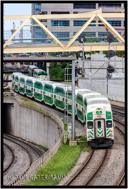 GO Transit 239 on the Union Station Rail Corridor in Toronto