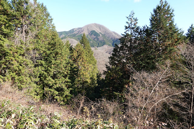 岡山県真庭市の蒜山下徳山 蒜山大山スカイラインからの眺望