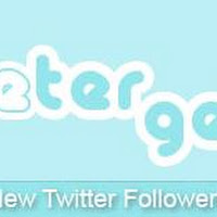 Gana mas de 15000 seguidores Twitter en 30 días