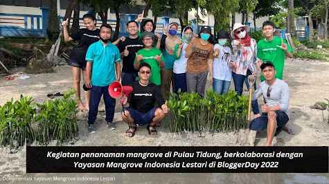 Kolaborasi Bloggercrony dan Yayasan Mangrove Indonesia Lestari