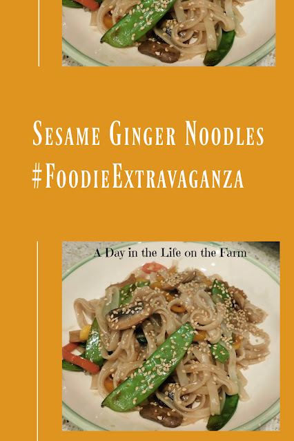 Sesame Ginger Noodles pin