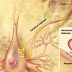 How to Supercharge Your Dopamine Levels Naturally and Never Feel Depressed or Anxious Again