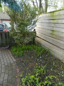 Riverdale Backyard Garden Makeover Before by Paul Jung Gardening Services--a Toronto Gardening Company