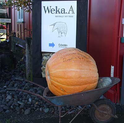 DSCF0741.jpg