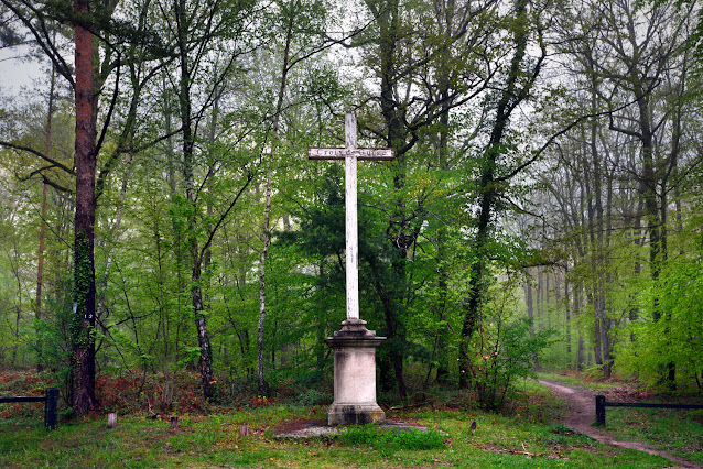 Croix de Guise forêt de Fontainebleau