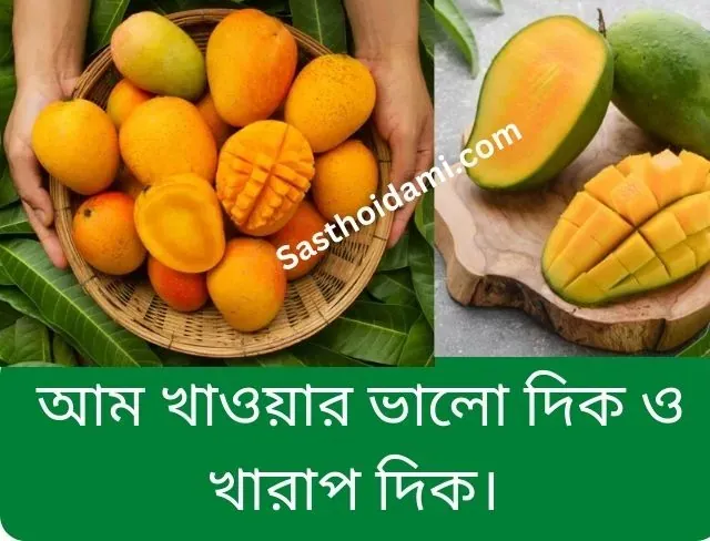 আম খাওয়ার ভালো দিক ও খারাপ দিক। Pros and cons of eating mangoes in bengali language