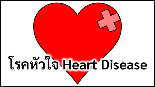 คำศัพท์เกี่ยวกับโรคหัวใจ (Heart Disease)