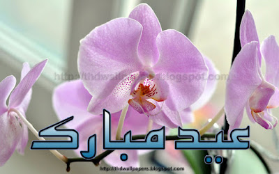 Free Eid Ul Zuha Adha Mubarak 2012 Card Flower Wallpapers Urdu Text 001