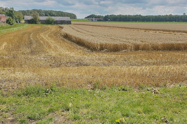 www.jetjesdag.nl | Nicolaas/S fotografie | De zomer is voorbij in de Haarlemmermeer bij Abbenes