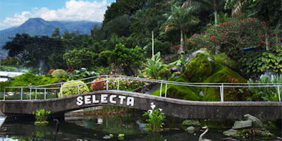 akcayatour, Selecta, Travel Malang Semarang, Travel Semarang Malang, Wisata Malang