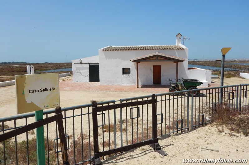 Kayak San Fernando - Salinas de Chiclana