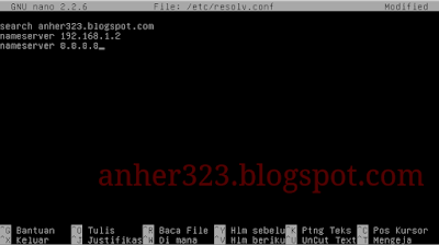 nano /etc/resolv.conf