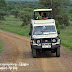 Safari live di Tanzania Afrika