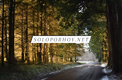 -soloporhoy.net