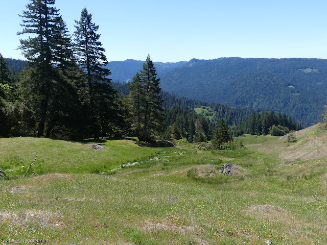 green flowing down the hill