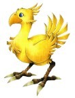 Chocobo