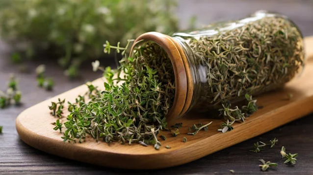 The Healing Power of Thyme A Natural Remedy for Respiratory Issues