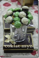 Coklat Myza 19.3.2011 044