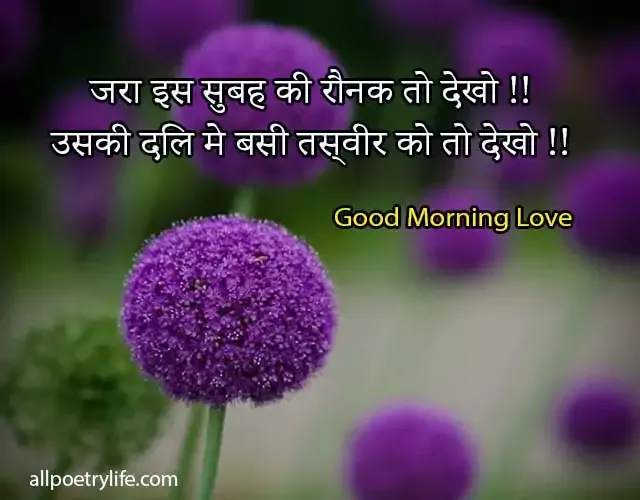 good-morning-quotes-in-hindi-with-images-morning-shayari-wishes