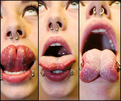 spider bites piercing girls. double spider bites piercings.