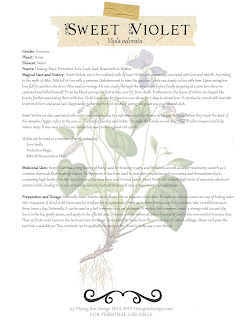 Magical and Medicinal Uses of Sweet Violet. Includes FREE BOS page!