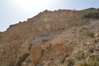 Ein Gedi