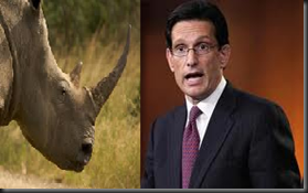 rinocantor
