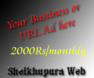 Brains Technology Sheikhupura first Webdesigning Company