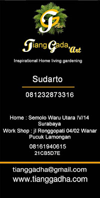 tukang taman surabaya. spesialis tukang taman, pemborong taman surabaya, kontraktor taman surabaya, arsitek taman surabaya, jasa taman rumah, tuang taman, desain taman surabaya.