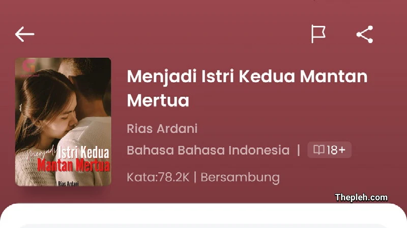 Novel Menjadi Istri Kedua Mantan Mertua Full Episode