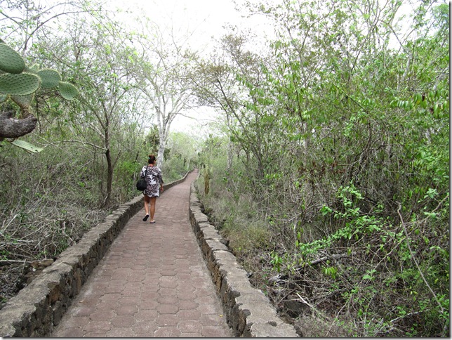 walking to tortuga beach maril