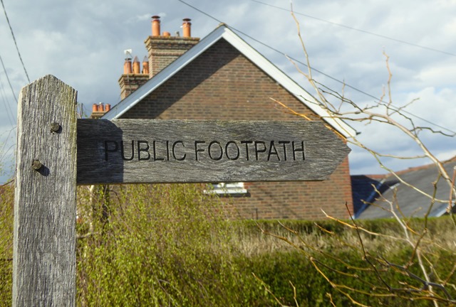 P1020028