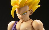 http://dragonballshfiguarts.blogspot.fr/2016/08/sh-figuarts-gohan-damaged.html